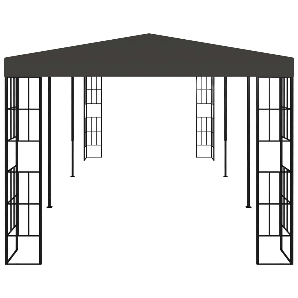 vidaXL varjualune 3 x 6 m, antratsiithall цена и информация | Varikatused ja aiapaviljonid | kaup24.ee