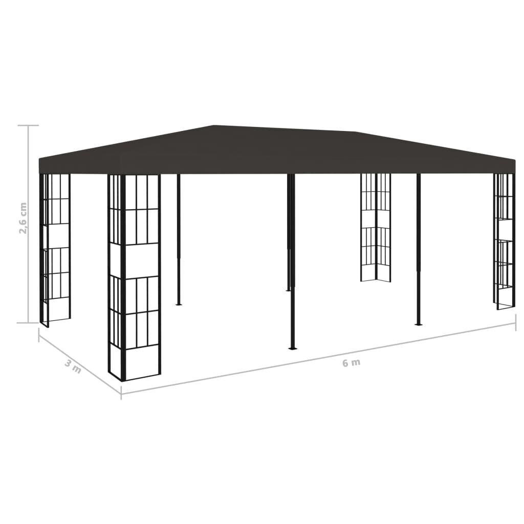 vidaXL varjualune 3 x 6 m, antratsiithall цена и информация | Varikatused ja aiapaviljonid | kaup24.ee