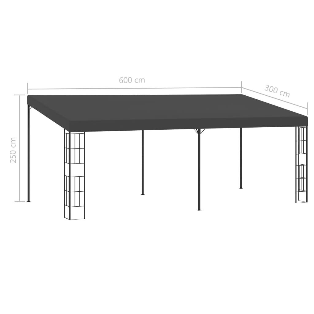 vidaXL seinale kinnitatav varjualune 3 x 6 m, antratsiithall, kangas hind ja info | Varikatused ja aiapaviljonid | kaup24.ee