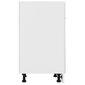 vidaXL köögikapp, valge, 50 x 46 x 81,5 cm, puitlaastplaat цена и информация | Köögikapid | kaup24.ee