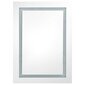 vidaXL LEDidega vannitoa peegelkapp, 50 x 13 x 70 cm hind ja info | Vannitoakapid | kaup24.ee