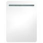 vidaXL LEDidega vannitoa peegelkapp, 60 x 11 x 80 cm цена и информация | Vannitoakapid | kaup24.ee