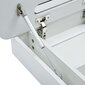vidaXL LEDidega vannitoa peegelkapp, 80 x 11 x 55 cm hind ja info | Vannitoakapid | kaup24.ee
