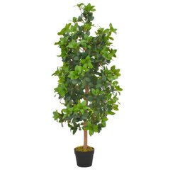 vidaXL kunsttaim loorberipuu potiga, roheline, 120 cm hind ja info | Kunstlilled | kaup24.ee