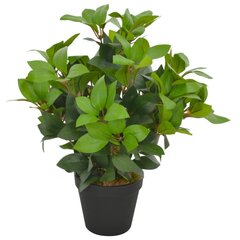 vidaXL kunsttaim loorberipuu potiga, roheline, 40 cm цена и информация | Искусственные цветы | kaup24.ee