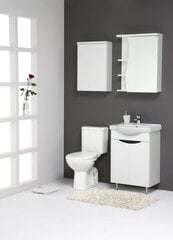 Riputatav vannitoakapp peegliga RASA RV55M цена и информация | Шкафчики для ванной | kaup24.ee