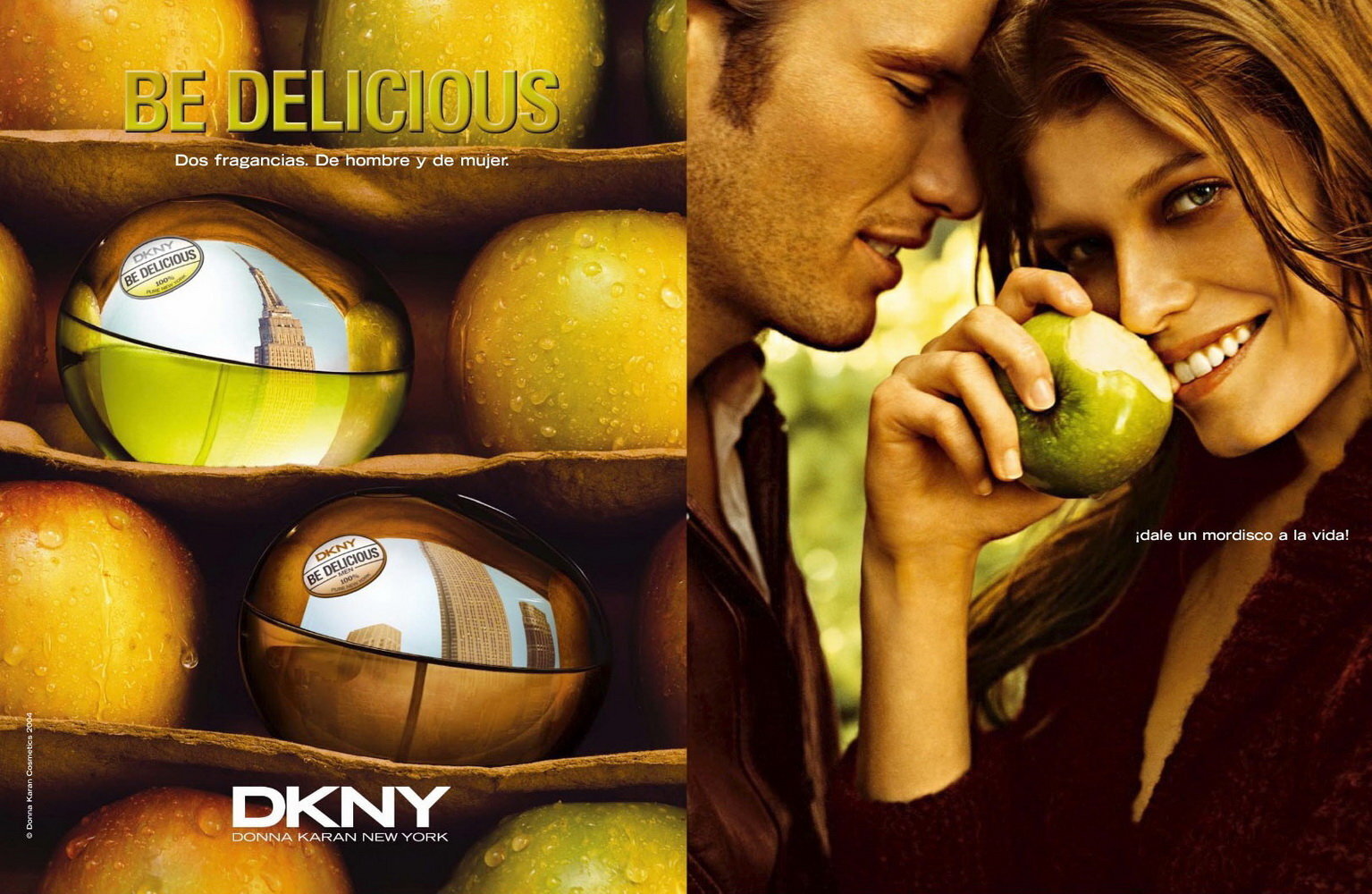 Naiste parfüüm Be Delicious Donna Karan EDP: Maht - 100 ml hind ja info | Naiste parfüümid | kaup24.ee