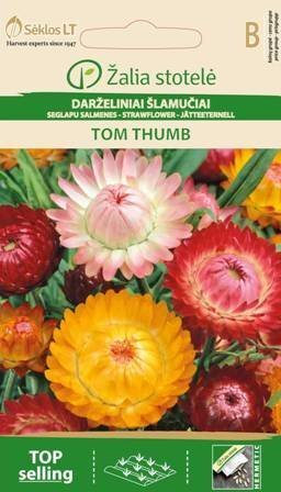 Õlelill Tom thumb цена и информация | Lilleseemned | kaup24.ee