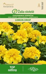 Бархатцы Lemon Drop цена и информация | Семена цветов | kaup24.ee