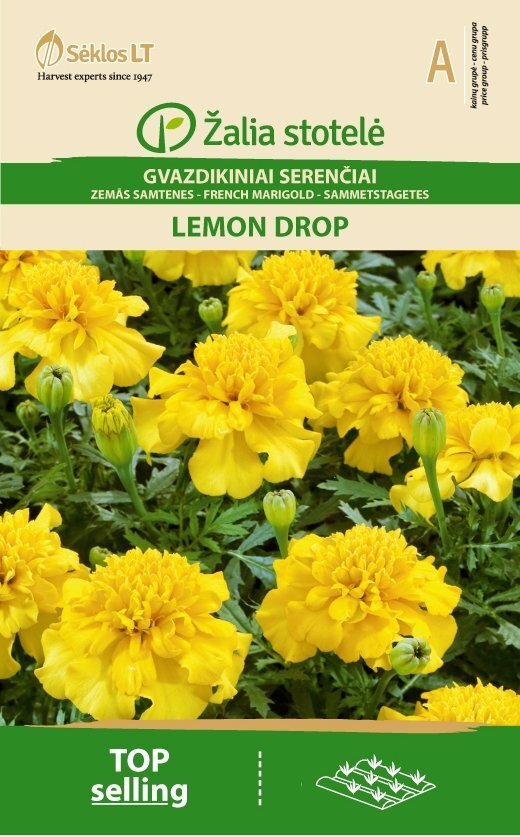 Peiulill/tageetes Lemon Drop цена и информация | Lilleseemned | kaup24.ee