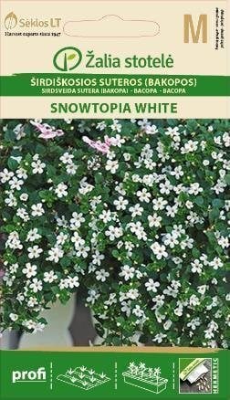 Eriline vesikaak Snowtopia White цена и информация | Lilleseemned | kaup24.ee