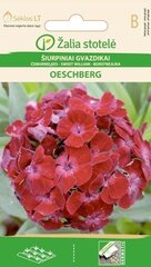 Habenelk Oeschberg hind ja info | Lilleseemned | kaup24.ee