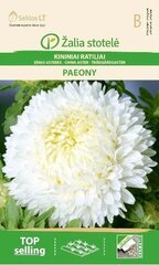 Hiina aster Paeony, valge цена и информация | Семена цветов | kaup24.ee
