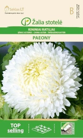 Hiina aster Paeony, valge hind ja info | Lilleseemned | kaup24.ee