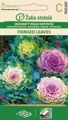 Декоративная капуста Fringed Leaves цена и информация | Зайцехвост яйцевидный | kaup24.ee