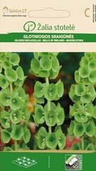 Молюцелла гладкая цена и информация | Зайцехвост яйцевидный | kaup24.ee