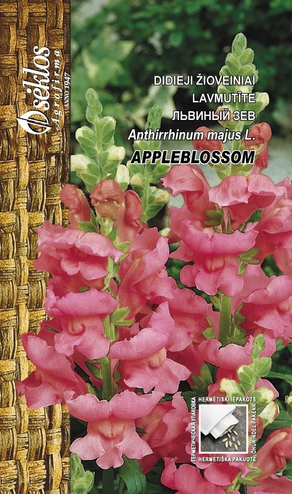 Suur lõvilõug Appleblossom цена и информация | Lilleseemned | kaup24.ee