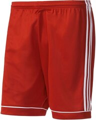 Spordipüksid meestele Adidas Squadra 17, punane цена и информация | Спортивная одежда для женщин | kaup24.ee