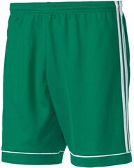 Спортивные шорты для мужчин Adidas Squadra 17, зеленые цена и информация | Мужская спортивная одежда | kaup24.ee