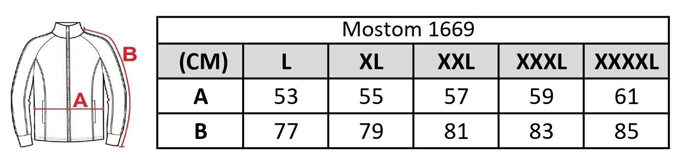 Meeste tõmblukuga kampsun Mostom 1669, hall hind ja info | Meeste kampsunid | kaup24.ee