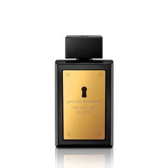 Antonio Banderas The Golden Secret EDT meestele 100 ml kaina ir informacija | Meeste parfüümid | kaup24.ee