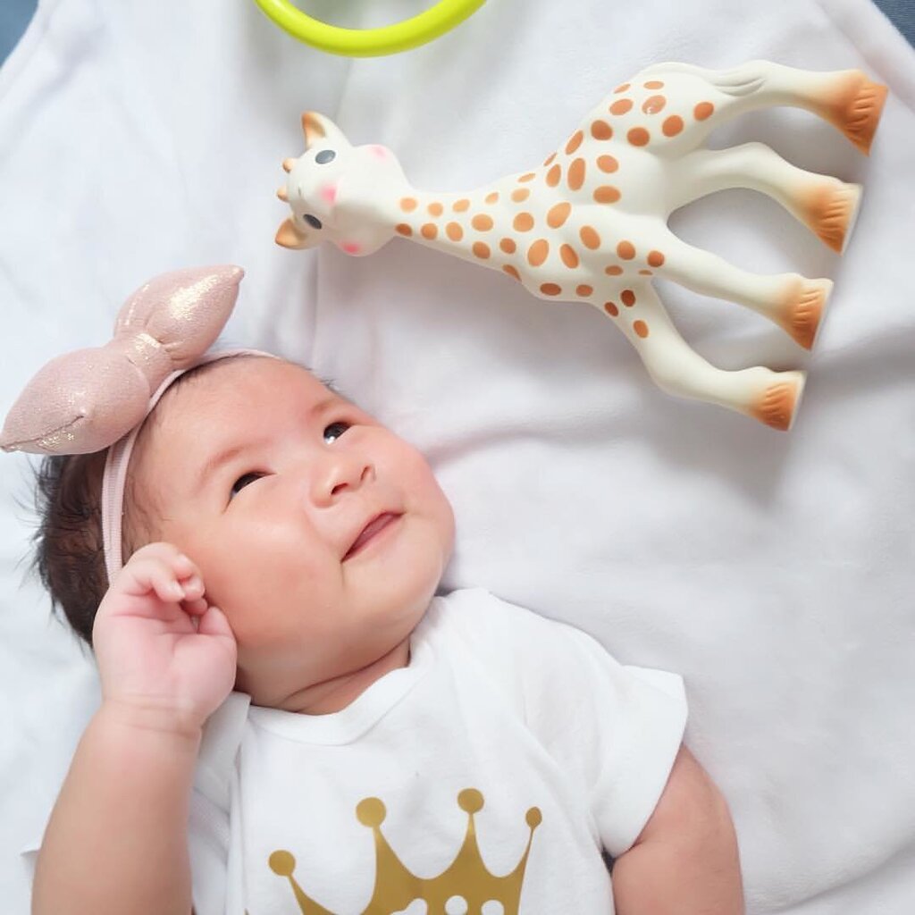 VULLI beebimänguasi Sophie la Giraffe 17cm цена и информация | Imikute mänguasjad | kaup24.ee