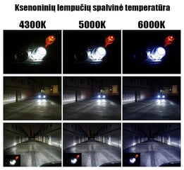 Xenon MaxGear D2R 4300k лампа цена и информация | Автомобильная ксеноновая лампа D2R 6000К (Китай) | kaup24.ee