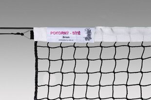 Tennisevõrk Pokorny-site Ekonom цена и информация | Товары для большого тенниса | kaup24.ee