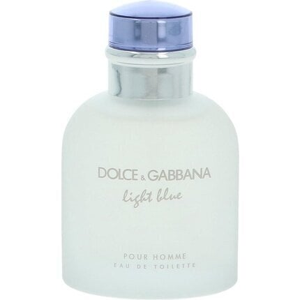 Meeste parfüüm Light Blue Homme Dolce & Gabbana EDT: Maht - 75 ml цена и информация | Meeste parfüümid | kaup24.ee