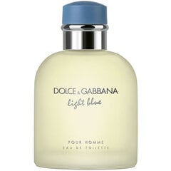 Dolce & Gabbana Light Blue Pour Homme EDT meestele 125 ml цена и информация | Мужские духи | kaup24.ee