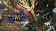 Monster Hunter Rise NSW цена и информация | Arvutimängud, konsoolimängud | kaup24.ee