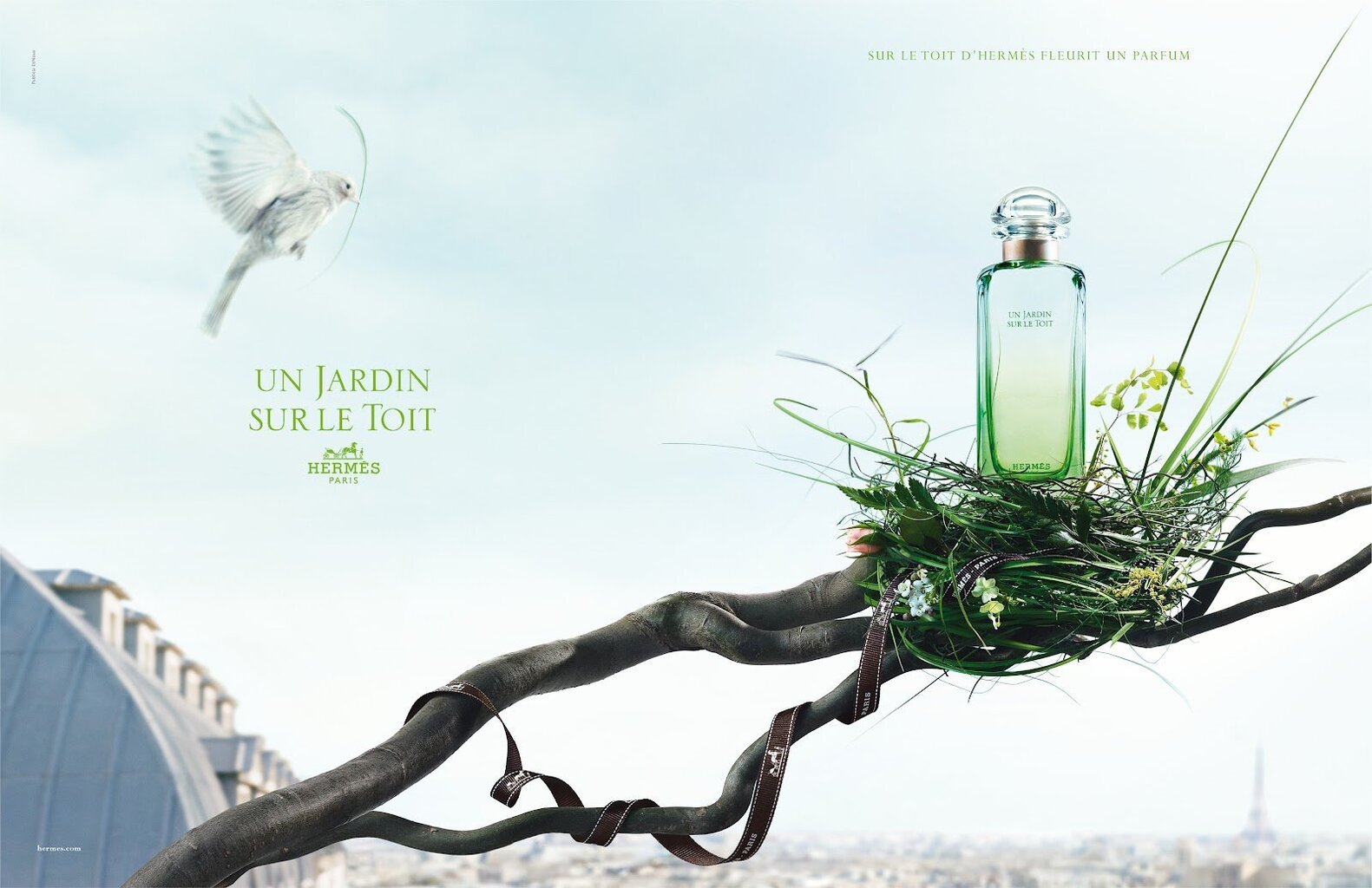 Hermes Un Jardin Sur Le Toit EDT naistele 30 ml hind ja info | Naiste parfüümid | kaup24.ee