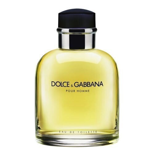 Dolce & Gabbana Pour Homme EDT meestele 125 ml цена и информация | Meeste parfüümid | kaup24.ee