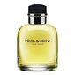 Dolce & Gabbana Pour Homme EDT meestele 125 ml цена и информация | Meeste parfüümid | kaup24.ee