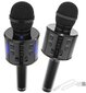 Karaoke mikrofon, häält muutvate efektidega juhtmeta Bluetooth-mikrofon, must hind ja info | Arendavad mänguasjad | kaup24.ee