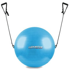 Мяч гимнастический с ручками в линии SPORT 55 см, цена и информация | Гимнастические мячи | kaup24.ee