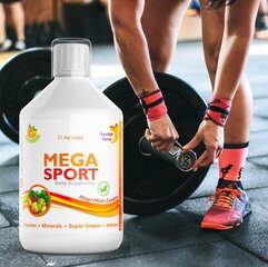 Mega Sport multivitamiin hind ja info | Vitamiinid, toidulisandid, preparaadid tervise heaoluks | kaup24.ee