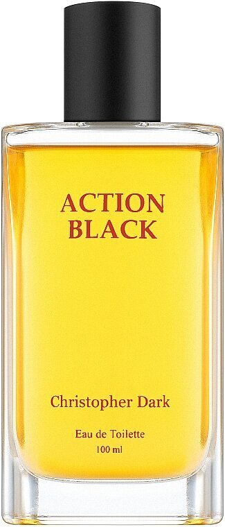 Tualettvesi Christopher Dark Action Black EDT meestele, 100 ml цена и информация | Meeste parfüümid | kaup24.ee