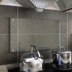 vidaXL köögi pritsmekaitse, läbipaistev, 70 x 40 cm, karastatud klaas hind ja info | Köögimööbli tarvikud | kaup24.ee