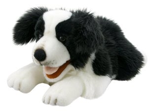 Käpiknukk Piiri kolli The Puppet Company, PC003007 Playful Puppies Border Collie цена и информация | Мягкие игрушки | kaup24.ee