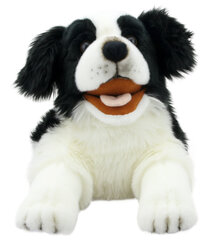 Käpiknukk Piiri kolli The Puppet Company, PC003007 Playful Puppies Border Collie цена и информация | Мягкие игрушки | kaup24.ee