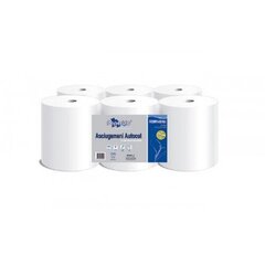 Бумажные полотенца Autocut 2-слойные, 130 м цена и информация | Туалетная бумага, бумажные полотенца | kaup24.ee