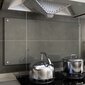 vidaXL köögi pritsmekaitse, läbipaistev, 100 x 50 cm, karastatud klaas цена и информация | Köögimööbli tarvikud | kaup24.ee