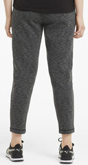 Puma Püksid Evostripe Pants Grey hind ja info | Naiste spordiriided | kaup24.ee