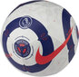 Nike Jalgpallipallid Ptch-FA20 White Blue цена и информация | Jalgpalli pallid | kaup24.ee