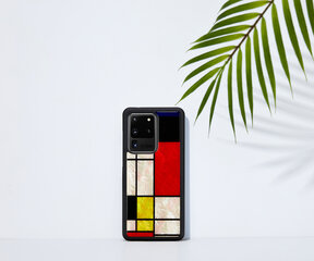 iKins  Samsung Galaxy S20 Ultra mondrian цена и информация | Чехлы для телефонов | kaup24.ee