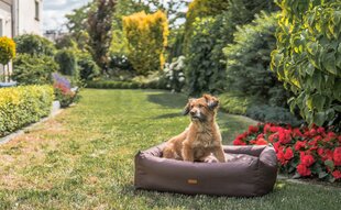 Amiplay водонепроницаемый лежак для собак ZipClean Country, XXL, зеленый цена и информация | Лежаки, домики | kaup24.ee