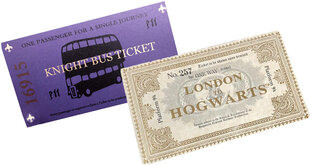 Карточка Ticket Harry Potter, билеты ( 2 шт.) цена и информация | Настольные игры, головоломки | kaup24.ee