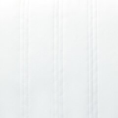 vidaXL vedruplokiga pealismadrats, 200 x 100 x 20 cm hind ja info | Madratsid | kaup24.ee