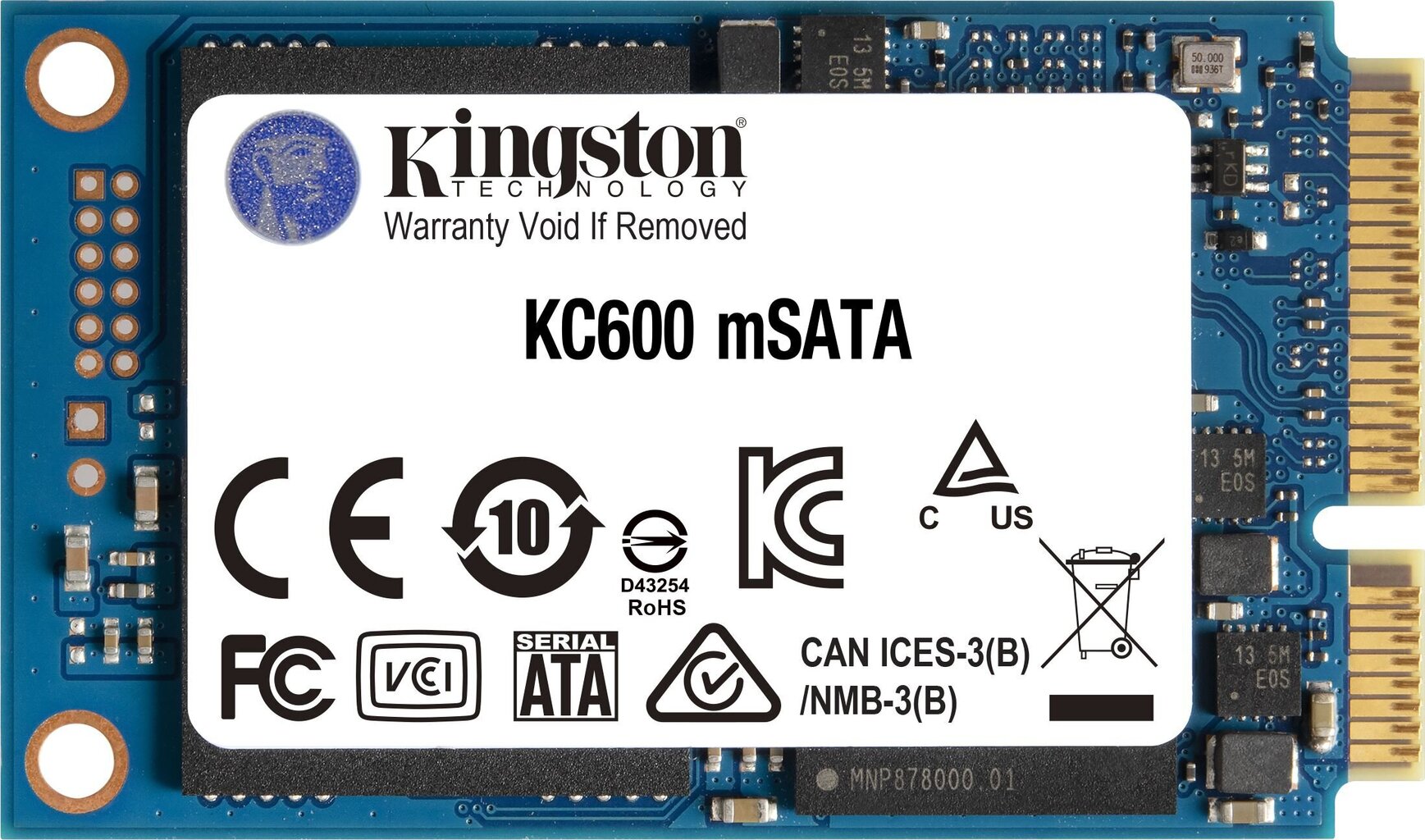 Kingston SKC600MS/256G цена и информация | Sisemised kõvakettad (HDD, SSD, Hybrid) | kaup24.ee